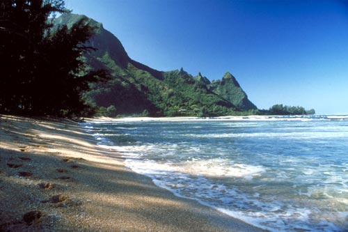 ������������������ʮ