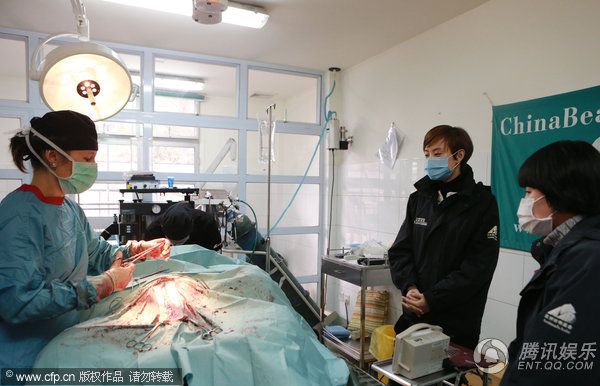 组图:孙俪探访黑熊救护站 为动物取名“萱萱”