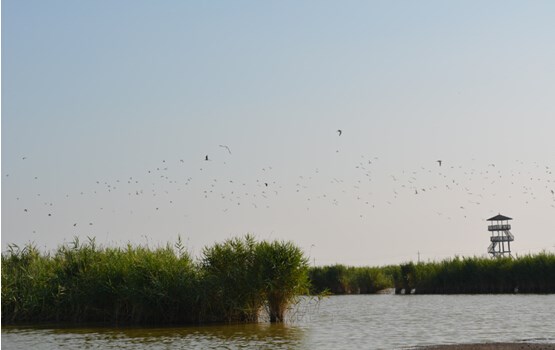 ����֮��